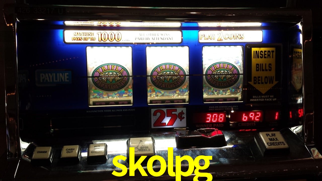 Sports Statistics skolpg